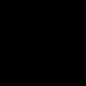 Meet your Posher, Shania